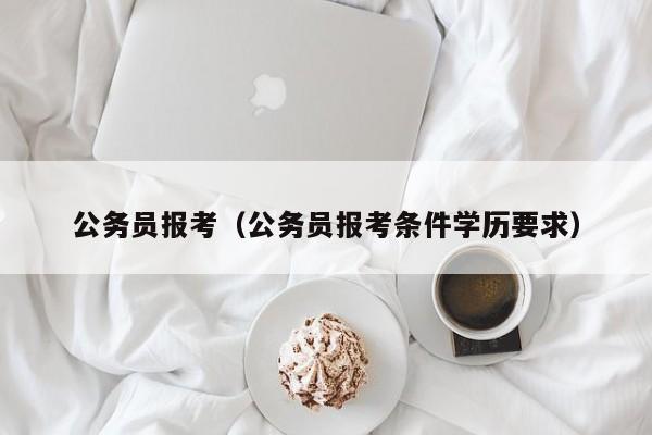 公务员报考（公务员报考条件学历要求）