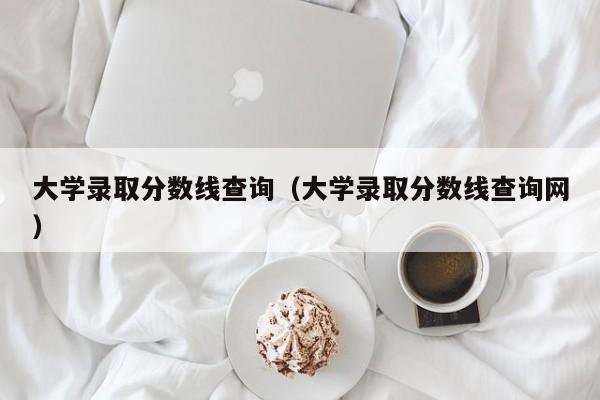 大学录取分数线查询（大学录取分数线查询网）