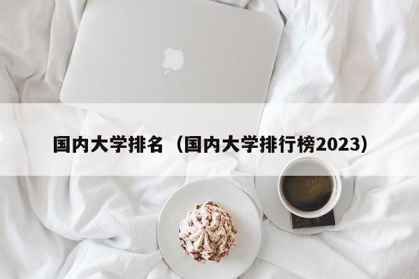 国内大学排名（国内大学排行榜2023）