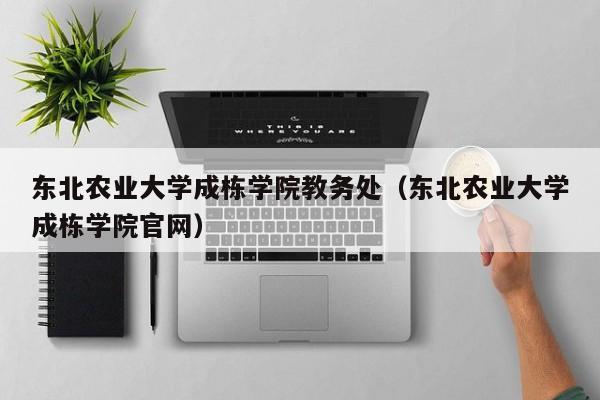 东北农业大学成栋学院教务处（东北农业大学成栋学院官网）