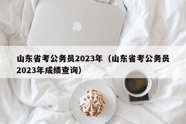 山东省考公务员2023年（山东省考公务员2023年成绩查询）